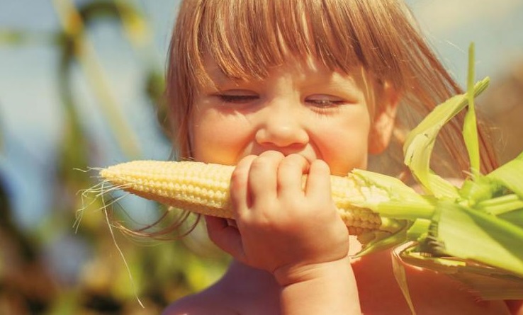 Πώς μπορείς να αυξήσεις την απορρόφηση σιδήρου: Οι έξυπνοι διατροφικοί συνδυασμοί - εικόνα 2