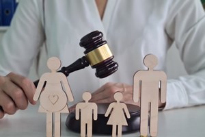 Σίσσυ Χρηστίδου: "Τα παιδιά αλλάζουν κάθε δύο μέρες σπίτι – Αυτό βάσει κοινής λογικής είναι βίαιο" - εικόνα 2