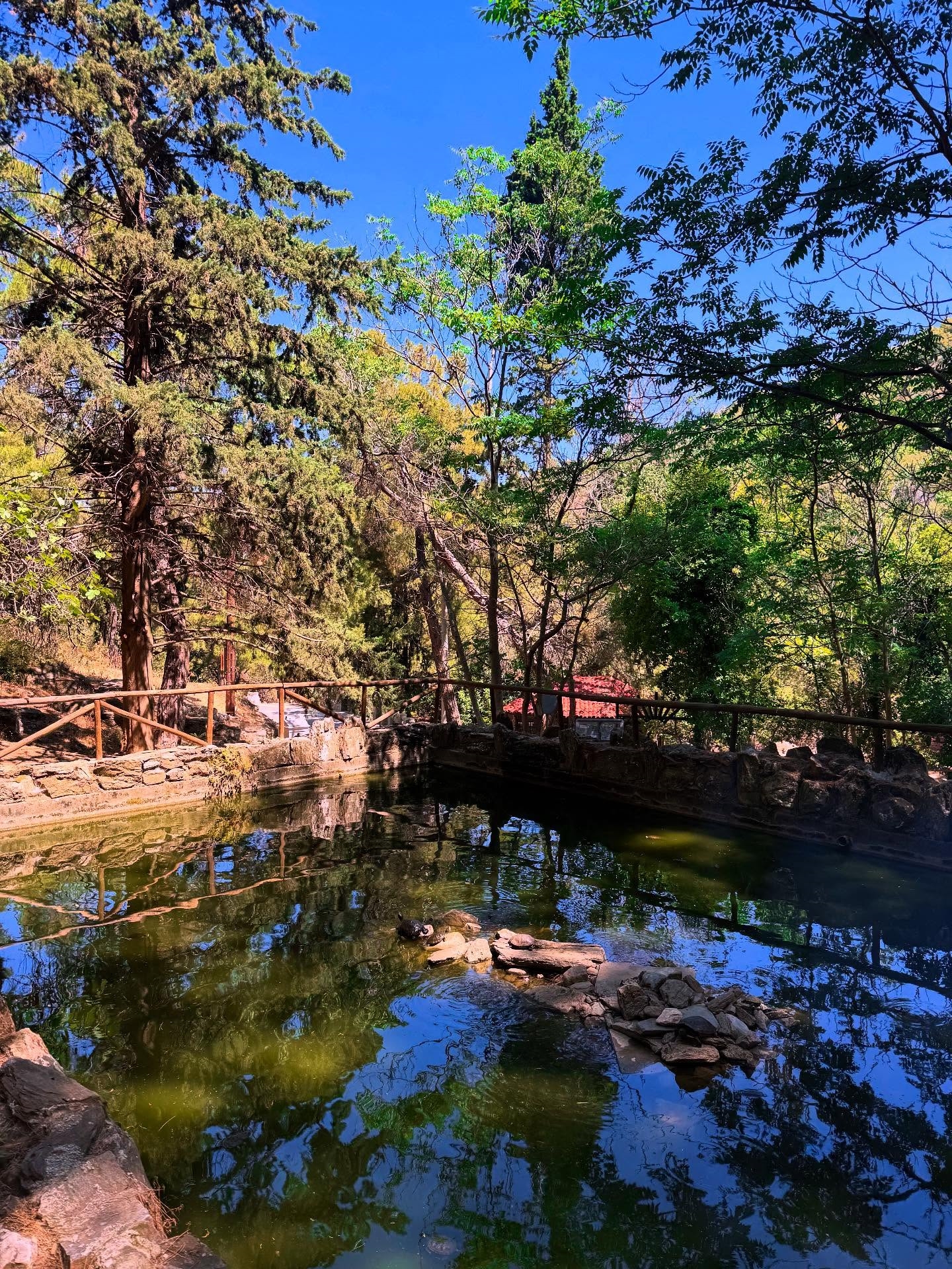 5 χειμερινοί προορισμοί στην Ελλάδα που λατρεύουν τα παιδιά (κι οι γονείς!) - εικόνα 1