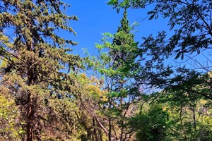 5 χειμερινοί προορισμοί στην Ελλάδα που λατρεύουν τα παιδιά (κι οι γονείς!) - εικόνα 1