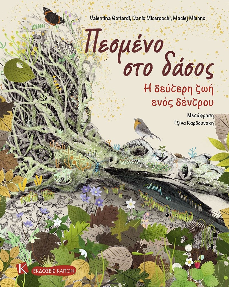 Πεσμένο στο δάσος | Η δεύτερη ζωή ενός δέντρου