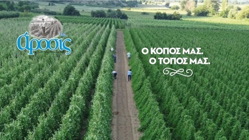 αροσις