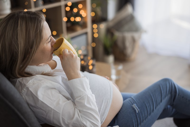 pregnancy christmas 3