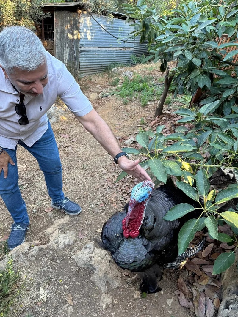 Πατούλης