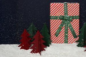 Δώρα εμπειρίας για τα παιδιά: Όταν τα Χριστούγεννα δεν είναι μόνο αντικείμενα - εικόνα 2