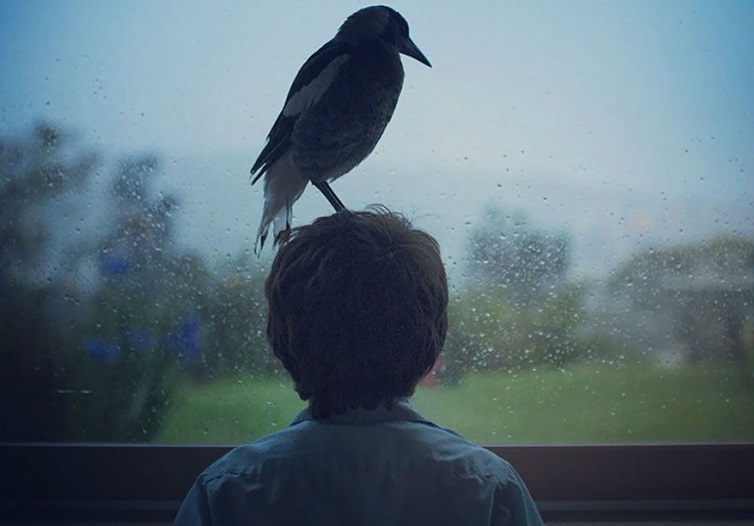 Μια φορά κι έναν καιρό υπήρχε μια χώρα που σεβόταν τα ζώα