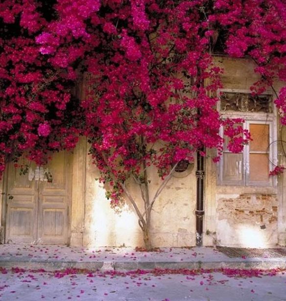 Το σπίτι στο χωριό - εκεί που πάντα θα επιστρέφουμε