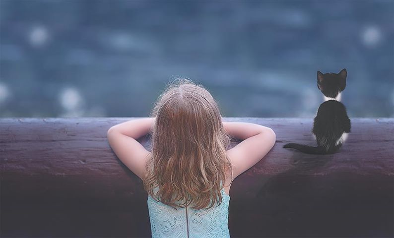 H εκπαιδευτική αξία της αποτυχίας