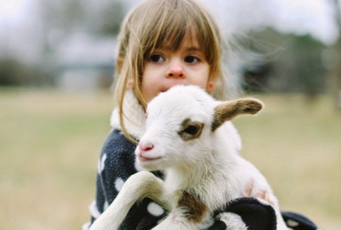 Η ενσυναίσθηση θα κάνει τον κόσμο καλύτερο. Όχι τα μαθηματικά.
