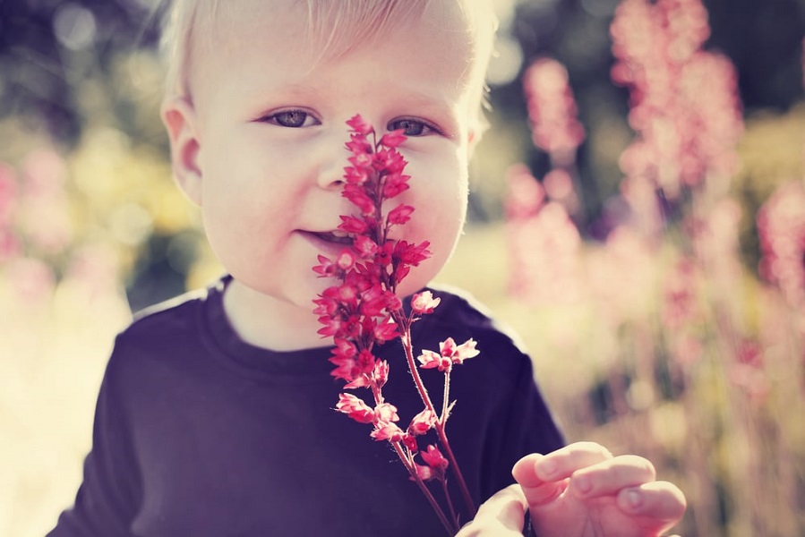 Όταν το λάικ πιάνει τόπο - η συγκινητική ιστορία της Ιωάννας και του 2χρονου Μορφέα