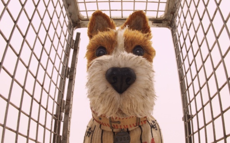 "Το νησί των σκύλων" - μια ταινία με σπουδαία μηνύματα για τα παιδιά