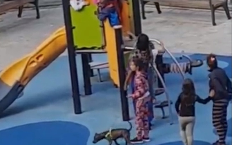 Ένα παιδάκι βιώνει την απόρριψη σε παιδική χαρά από παιδιά και... γονείς