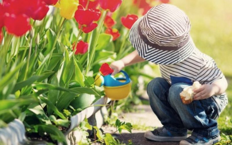 The Meet Market Sunday for Kids & Families – Τώρα ξέρεις τι να κάνεις την Κυριακή με τα παιδιά!