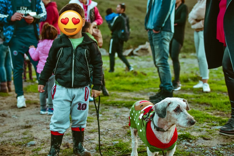 Μια διαφορετική εκδρομή: Νηπιαγωγείο στη Λήμνο επισκέφτηκε το καταφύγιο αδέσποτων του νησιού