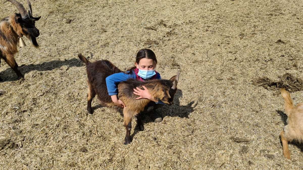 Fiammetta Melis | Η υπέροχη 10χρονη βοσκοπούλα που κάνει τηλεκπαίδευση στα βουνά της Ιταλίας