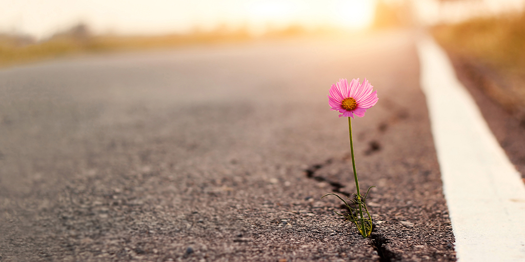 Τι είναι η ψυχική ανθεκτικότητα και γιατί όσοι την κατακτήσουν θα ζουν καλύτερα