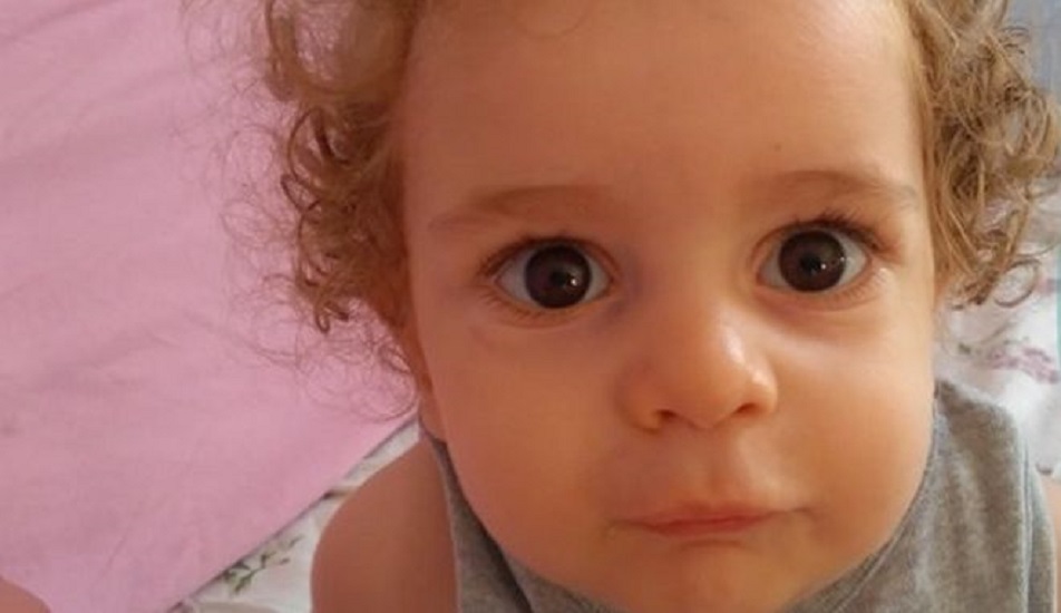 Ο Παναγιώτης Ραφαήλ αφηγείται τα μικρά λυκάκια και όλοι συγκινούνται (video)