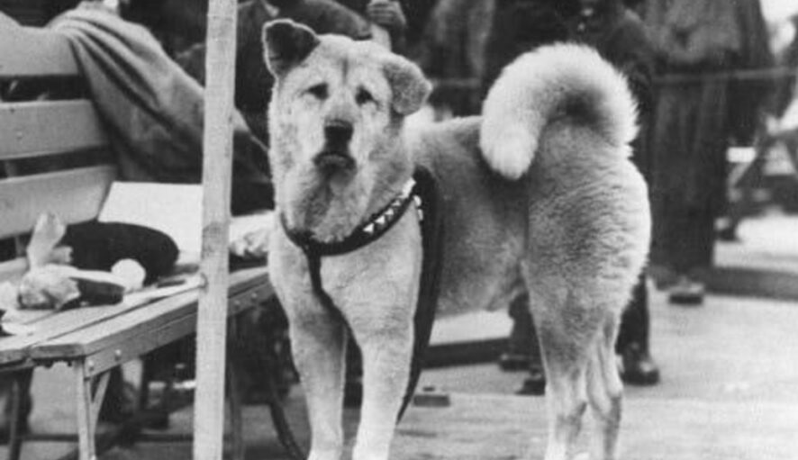 H συγκινητική, τελευταία φωτογραφία του θρυλικού Χάτσικο