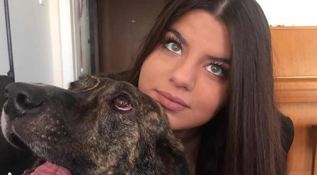 Ξενοδόχος άφησε 3 ανθρώπους να κοιμηθούν στο αμάξι τους στους -10 βαθμούς, επειδή είχαν σκύλο