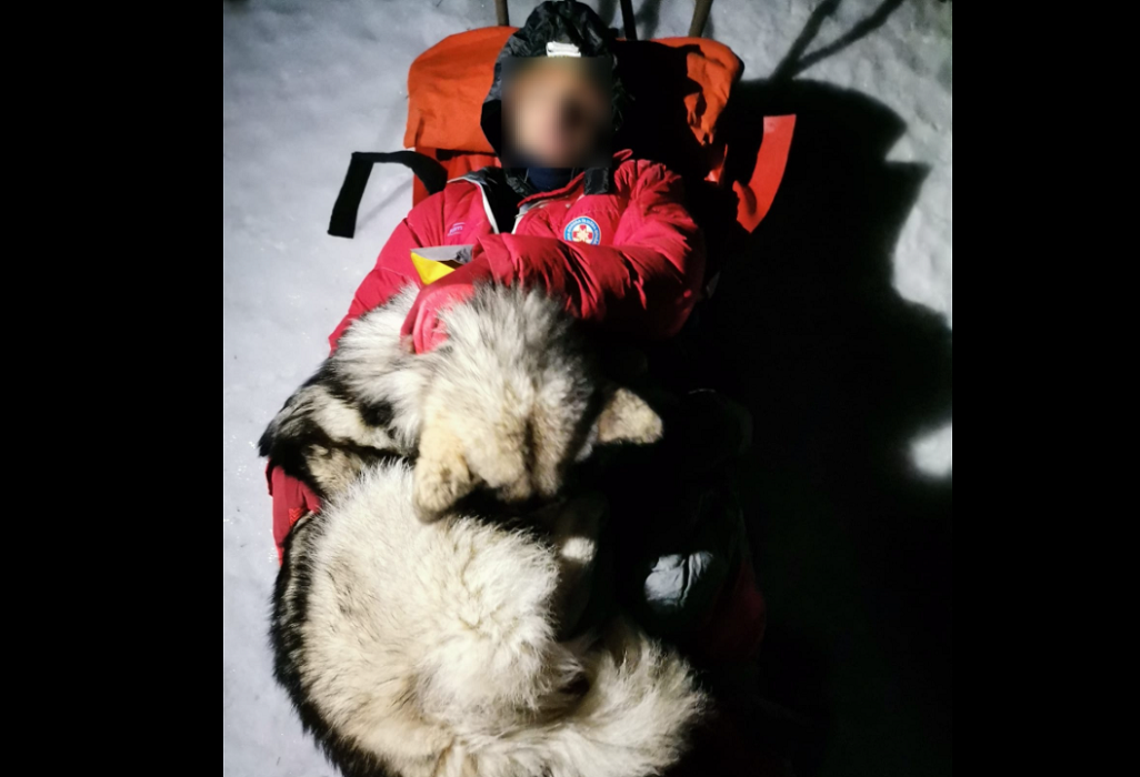 Σκύλος ζέσταινε με το σώμα του τραυματισμένο ορειβάτη για 13 ώρες