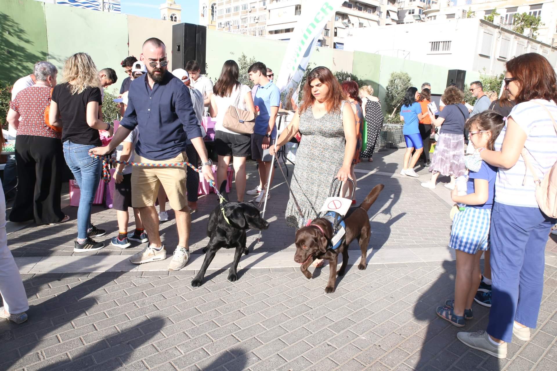 "Αγαπώ τα ζώα"- Μια ξεχωριστή δράση ευαισθητοποίησης και αγάπης, στην πλατεία Κοραή