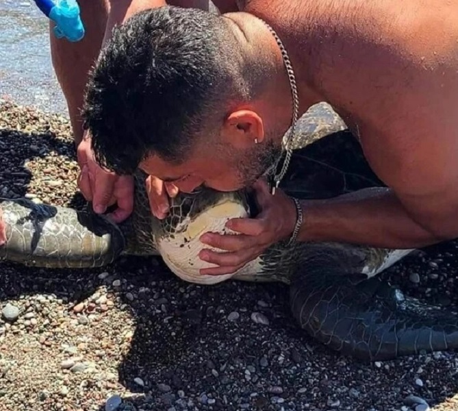 Ρόδος: Συγκλονιστική διάσωση θαλάσσιας χελώνας που είχε μπλεχτεί σε σχοινιά - Δύτης της έκανε τεχνητή αναπνοή