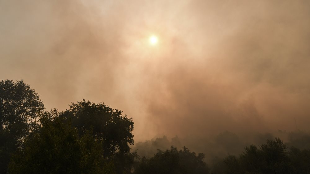 "Είπα στην Μαργαρίτα μου να πάρει το μωρό και να φύγει": Η συγκλονιστική κατάθεση του Πυροσβέστη που έχασε την σύζυγο και το βρέφος τους στο Μάτι