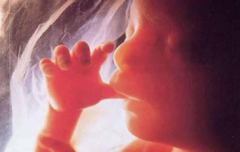 Ανυπομονώ να σε γνωρίσω, να δω τα χεράκια σου και να φιλήσω τις πατούσες που με κλωτσάνε...