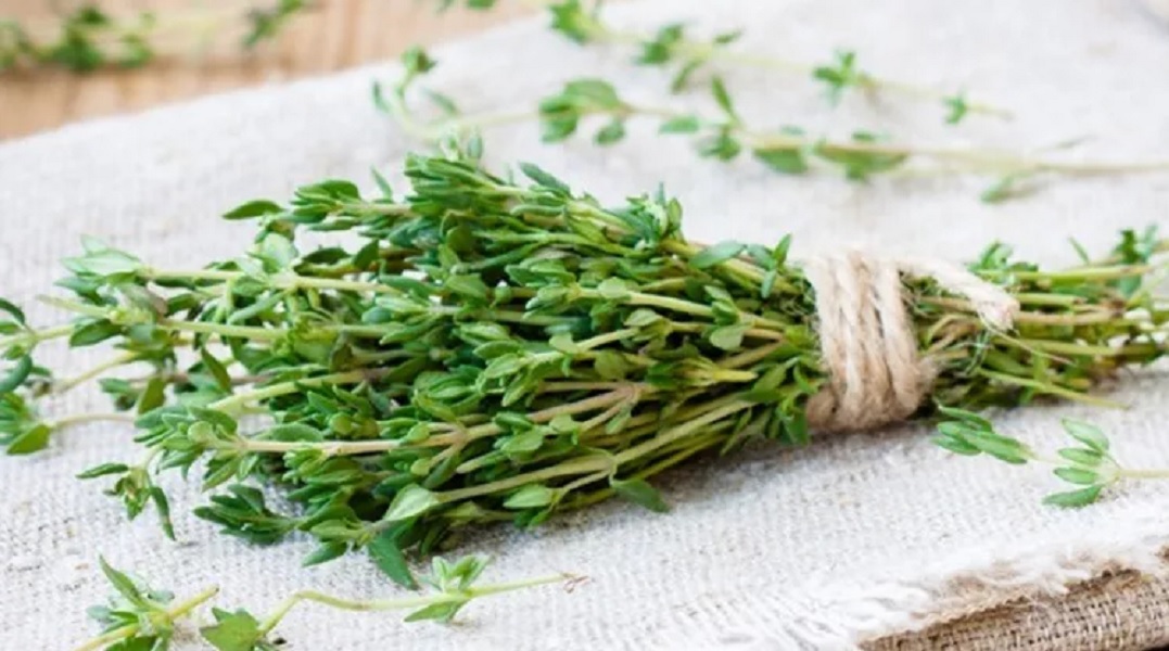 Πότε να μην τρώμε θυμάρι: Οι παρενέργειες που πρέπει να γνωρίζουμε