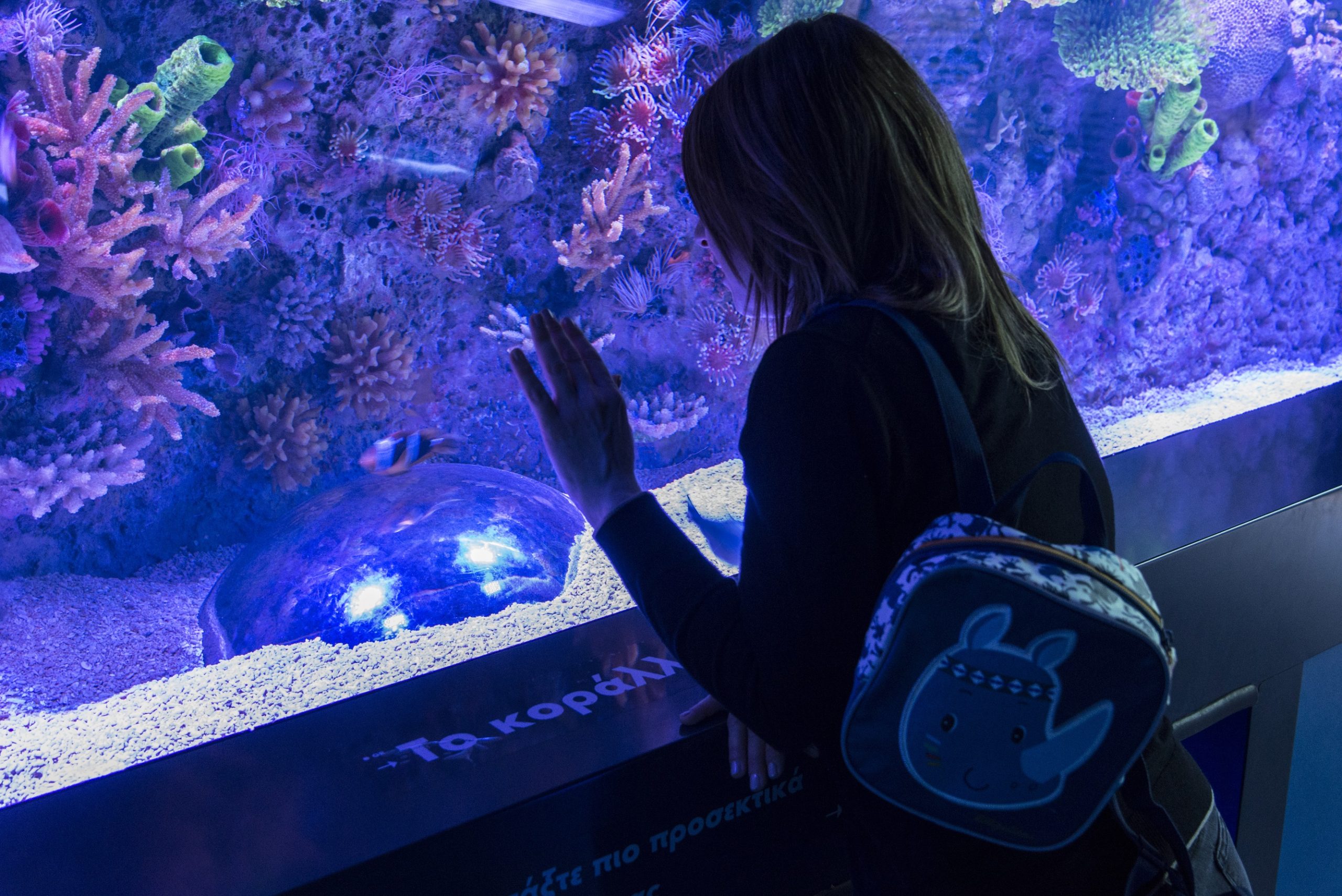 Τι έμαθε ο γιος μου (κι εγώ) σε μια επίσκεψη στο μοναδικό ενυδρείο της Αθήνας