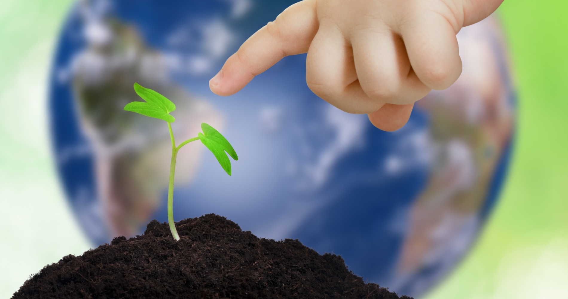 Babytree: H MEGA φυτεύει ένα δέντρο για κάθε παιδί που γεννιέται