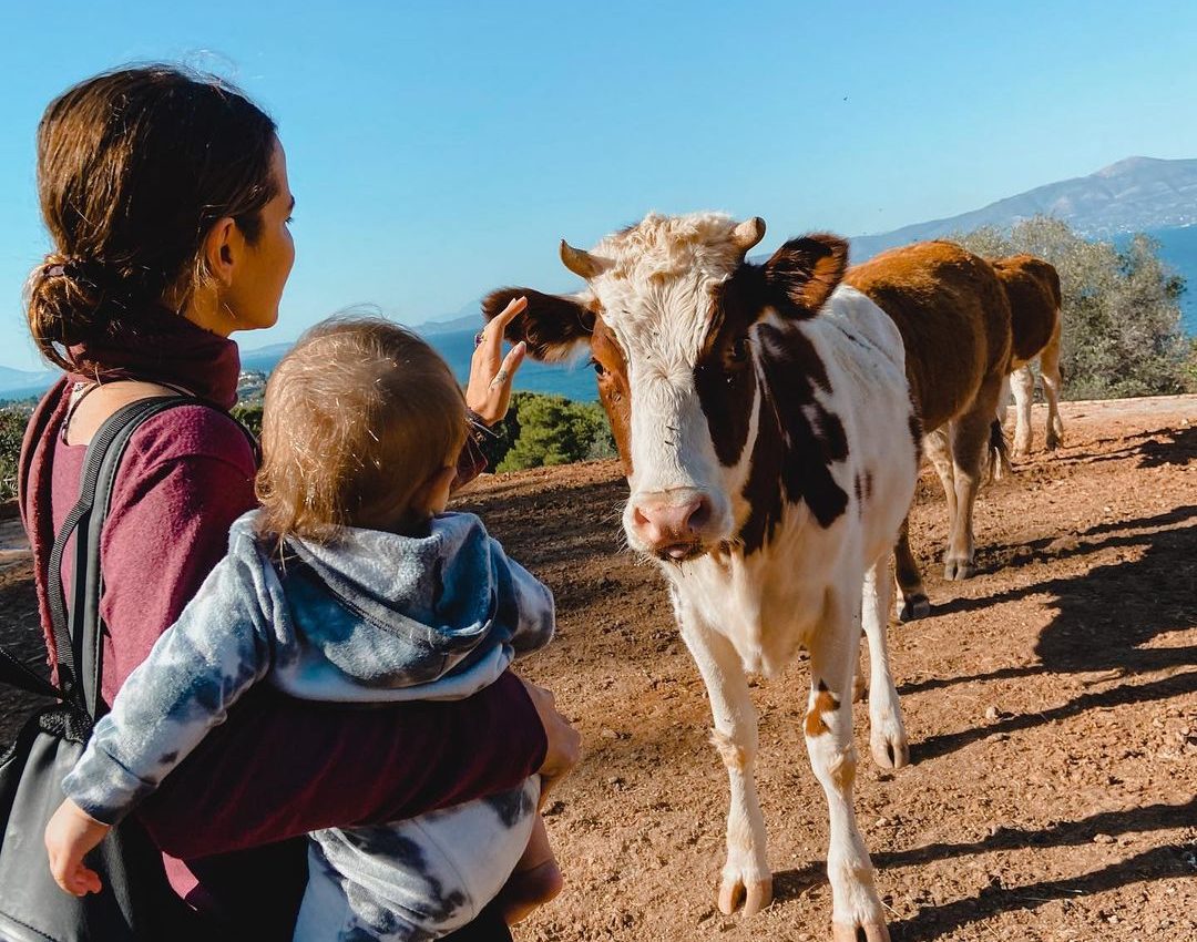 Ορειβασία με τη μαμά: Η Εριέττα Κούρκουλου - Λάτση κάνει ορειβασία με τον ενός έτους γιο της, Νικόλα