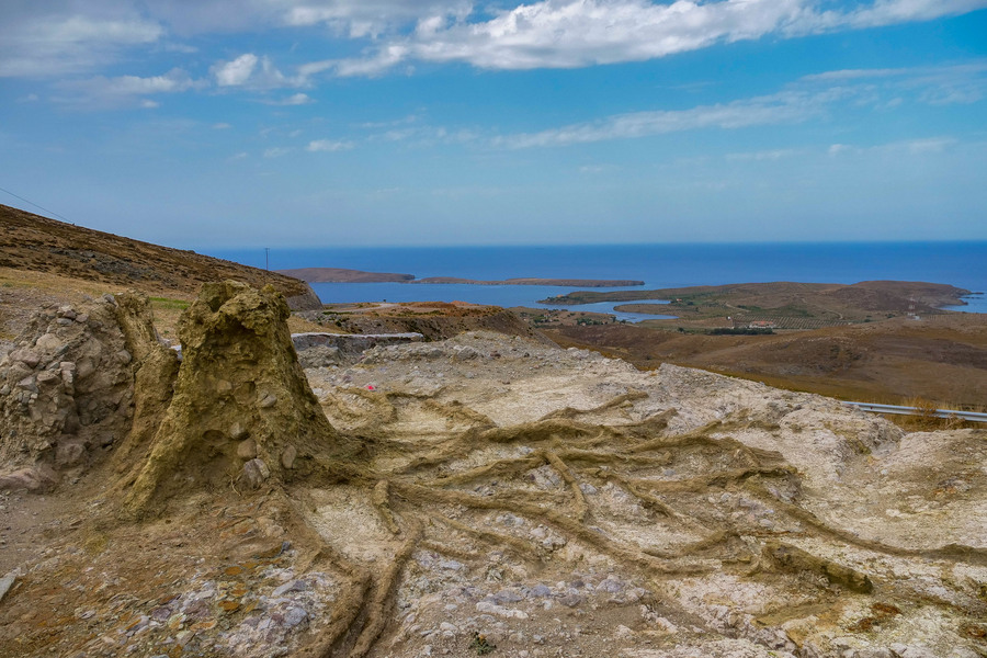 Το Μουσείο Φυσικής Ιστορίας Απολιθωμένου Δάσους στην Παγκόσμια Έκθεση Παρατήρησης Πουλιών