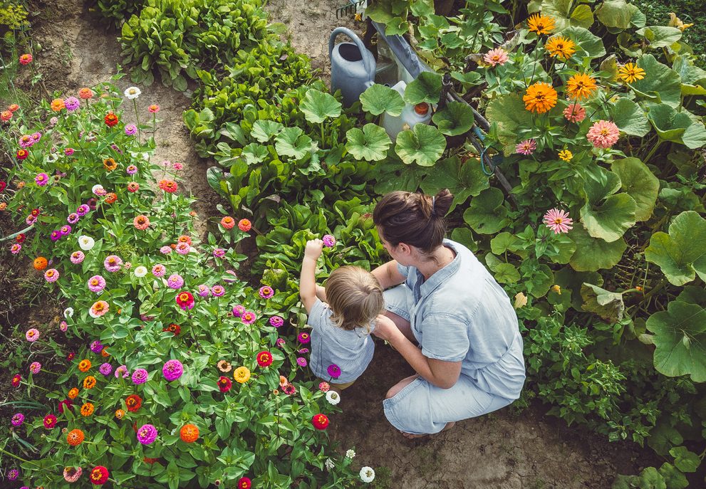 Ένας νέος "Κοινωνικός Βιολογικός Λαχανόκηπος" φέρνει τους νέους πιο κοντά στη γη και στην καλλιέργεια