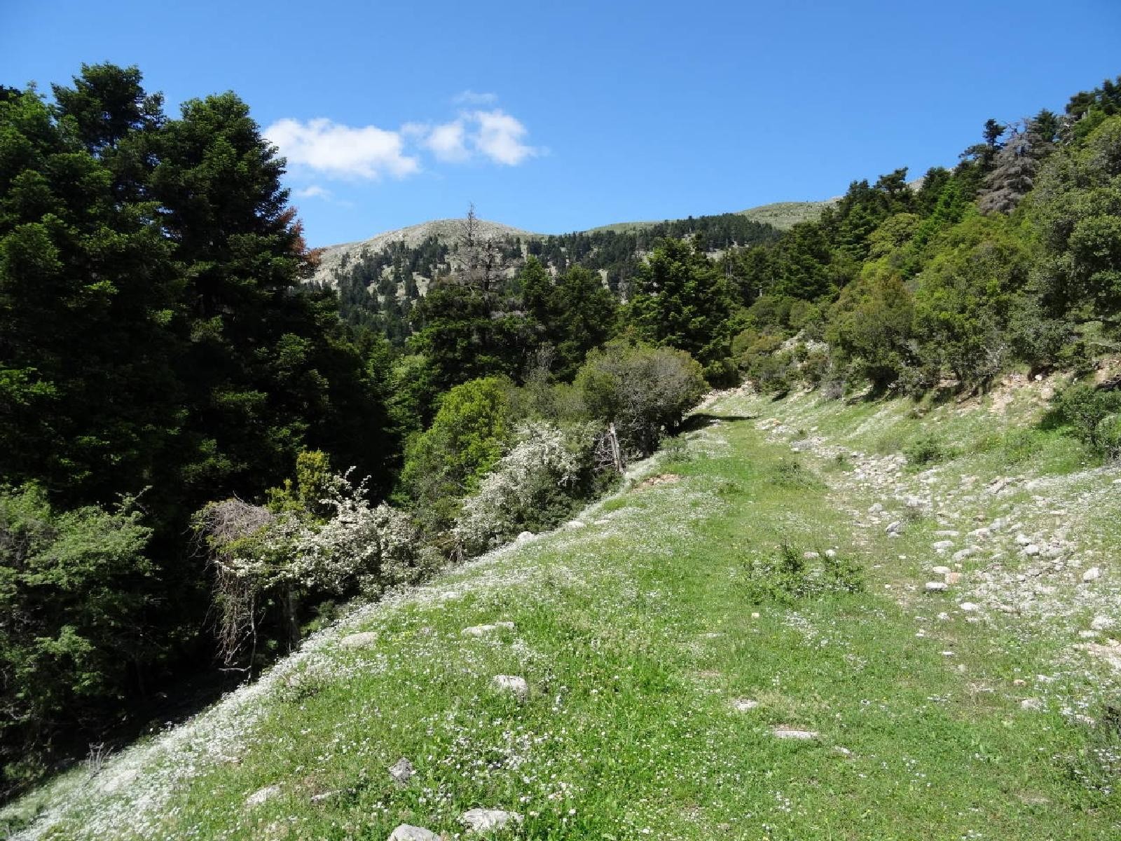 Πάτρα: Δράσεις για την ανάδειξη του ιστορικού πεζοπορικού μονοπατιού του Παλαιών Πατρών Γερμανού