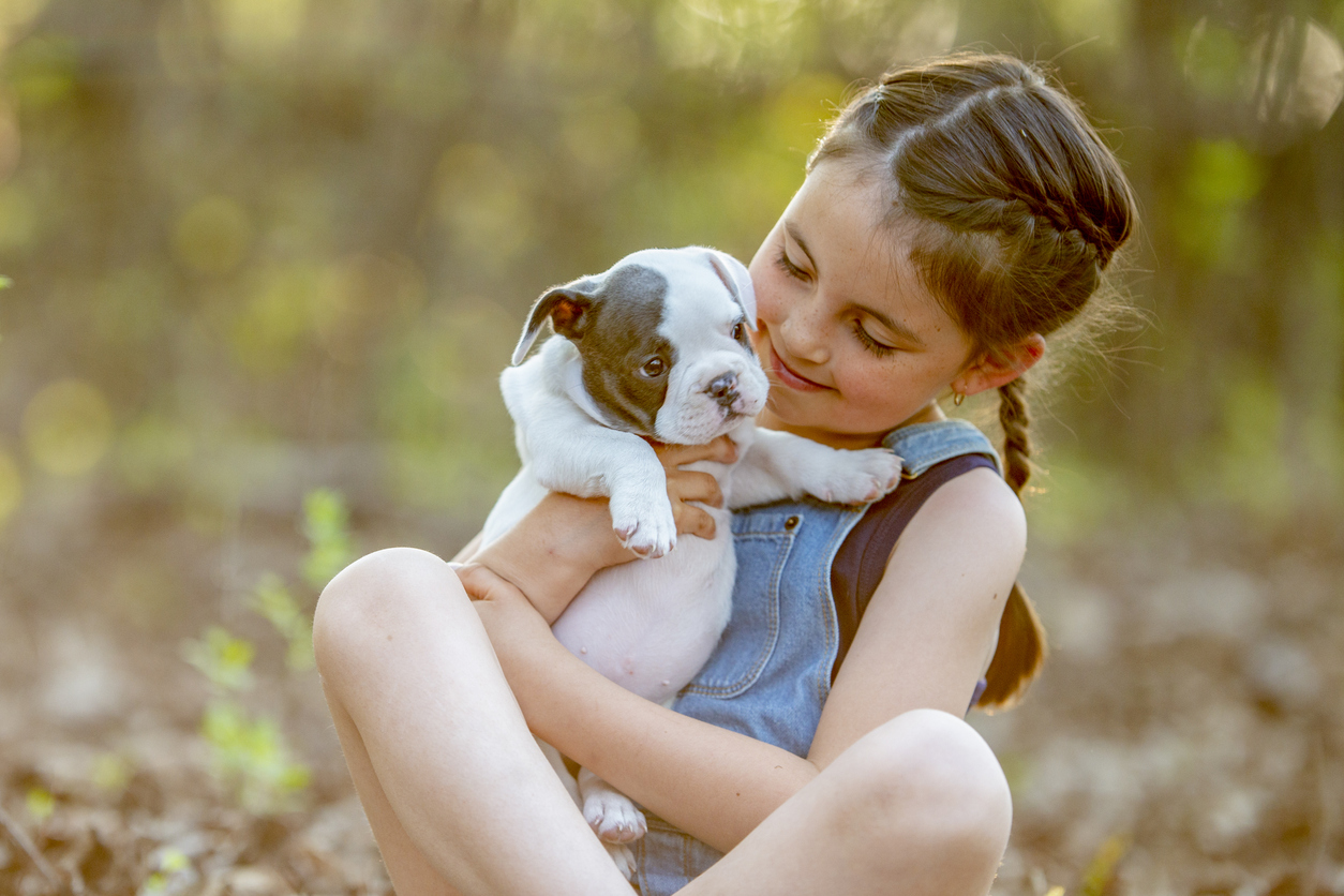 Πανελλήνια Σχολική Ημέρα Φιλοζωίας: Εκπαιδευτικές δραστηριότητες για να ανακαλύψουν τα παιδιά τα πιο έξυπνα ζώα του κόσμου