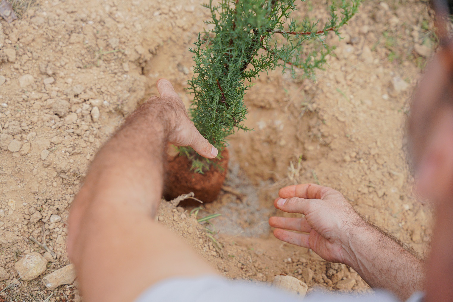 Βίκος Α.Ε.: «Ανάσα πρασίνου» με τη φύτευση 1.000 δενδρυλλίων στο Γαλάτσι