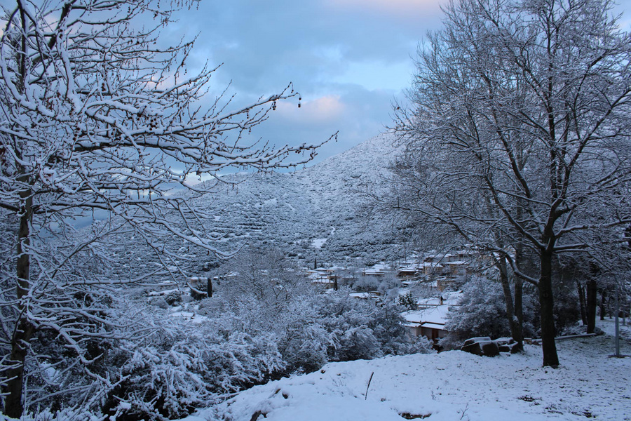 Κακοκαιρία Avgi: Τι ισχύει για τηλεργασία, σχολεία, ντελίβερι και δρόμους