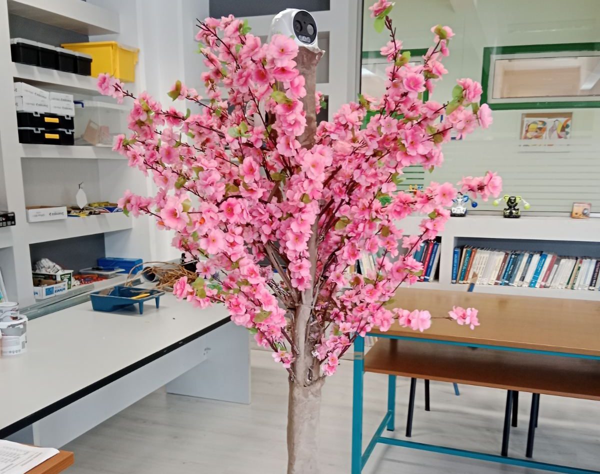 Μαθητές από τη Θεσσαλονίκη δημιούργησαν ένα τεχνητό δέντρο- φύλακα από τις δασικές πυρκαγιές