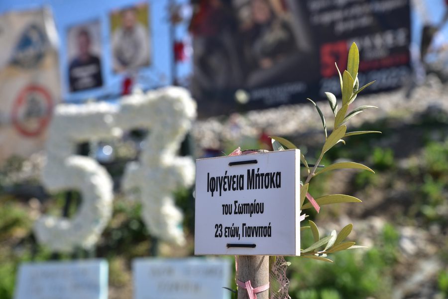 Θεσσαλονίκη: Άγνωστοι κατέστρεψαν δέντρα που φύτεψαν μαθητές και αστυνομικοί για τα θύματα των Τεμπών