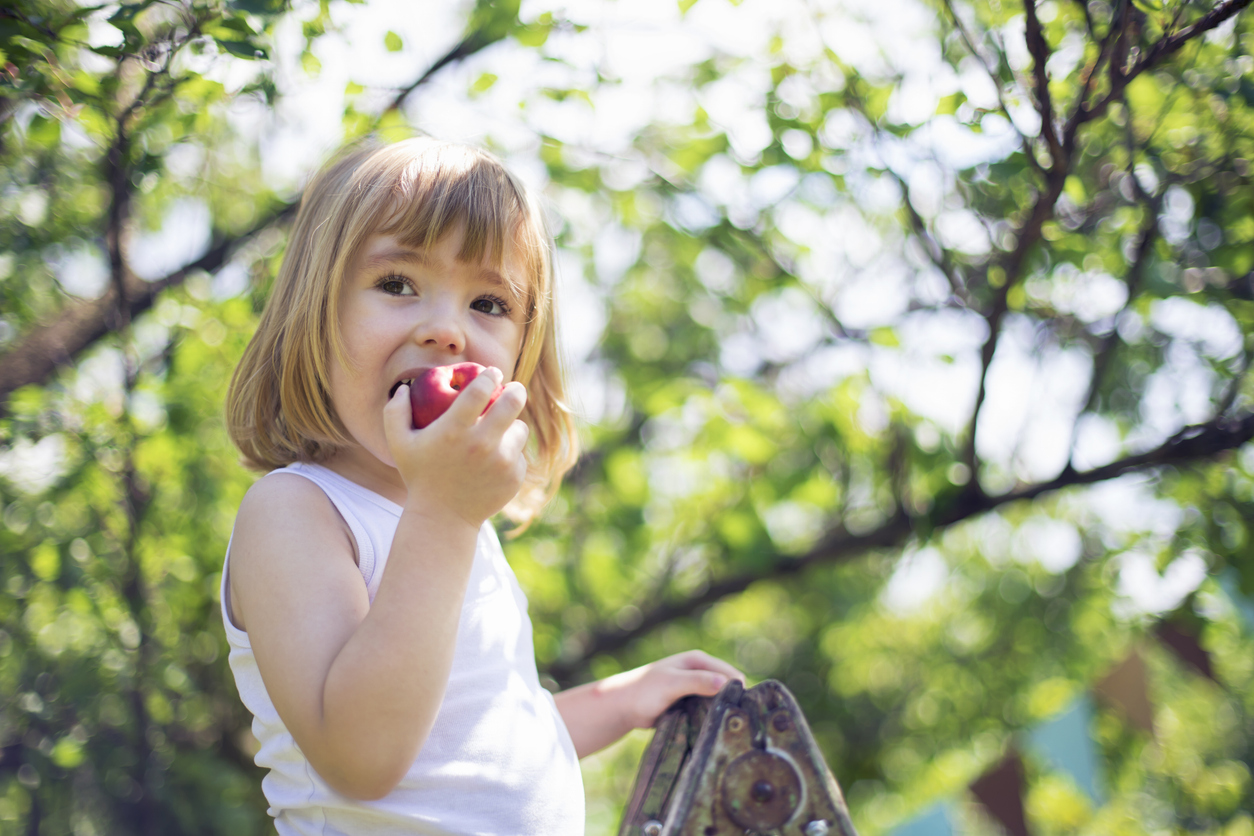 5 καλοκαιρινές τροφές πλούσιες σε σίδηρο