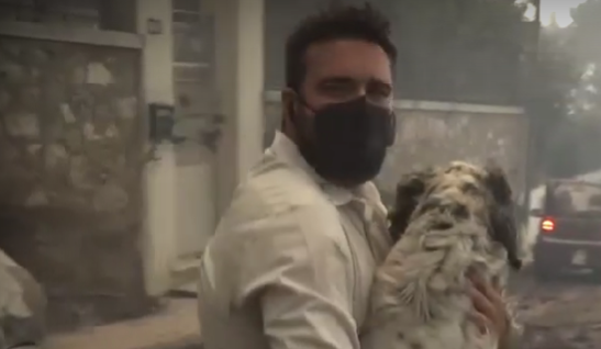 Συγκίνησε ο ρεπόρτερ που έσωσε τραυματισμένο σκυλάκι από τις φλόγες