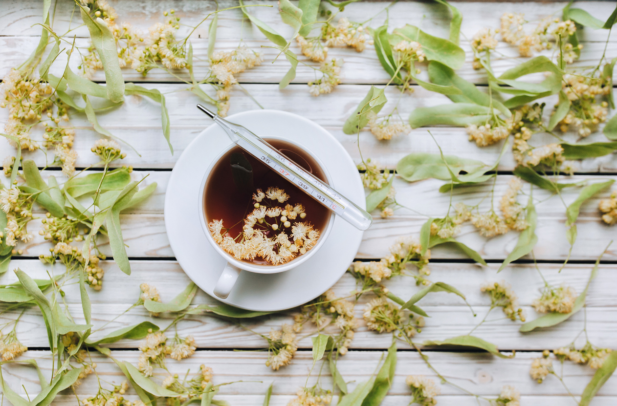 Τα βότανα που χρησιμοποιούσαν οι γιαγιάδες μας όταν είχαμε πυρετό και μπορούμε να τα δώσουμε και στα παιδιά μας