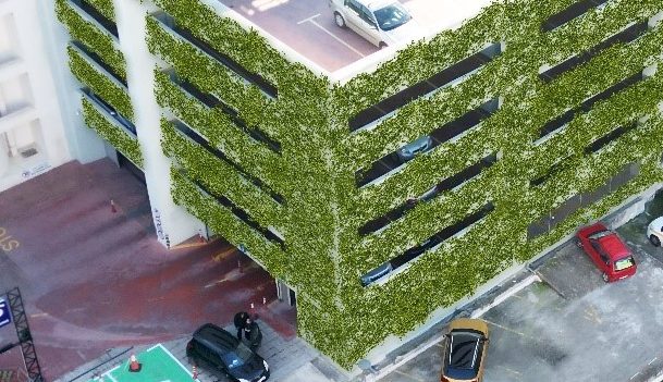 Μικροί μαθητές «στολίζουν» με γιασεμί τον «Πράσινο Τοίχο» του δημοτικού πάρκινγκ στα Χανιά