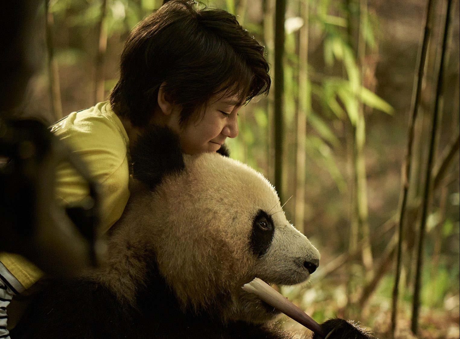 Το Μικρό Μου Πάντα: Η πιο τρυφερή και φιλόζωη περιπέτεια για μικρούς σινεφίλ