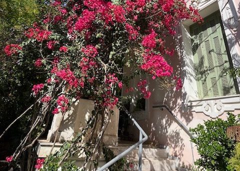 "Τι μας φέρνεις, Χελιδόνι;": Μια υπέροχη συμμετοχική παράσταση του Μικρού Νότου για παιδιά από 5 ετών