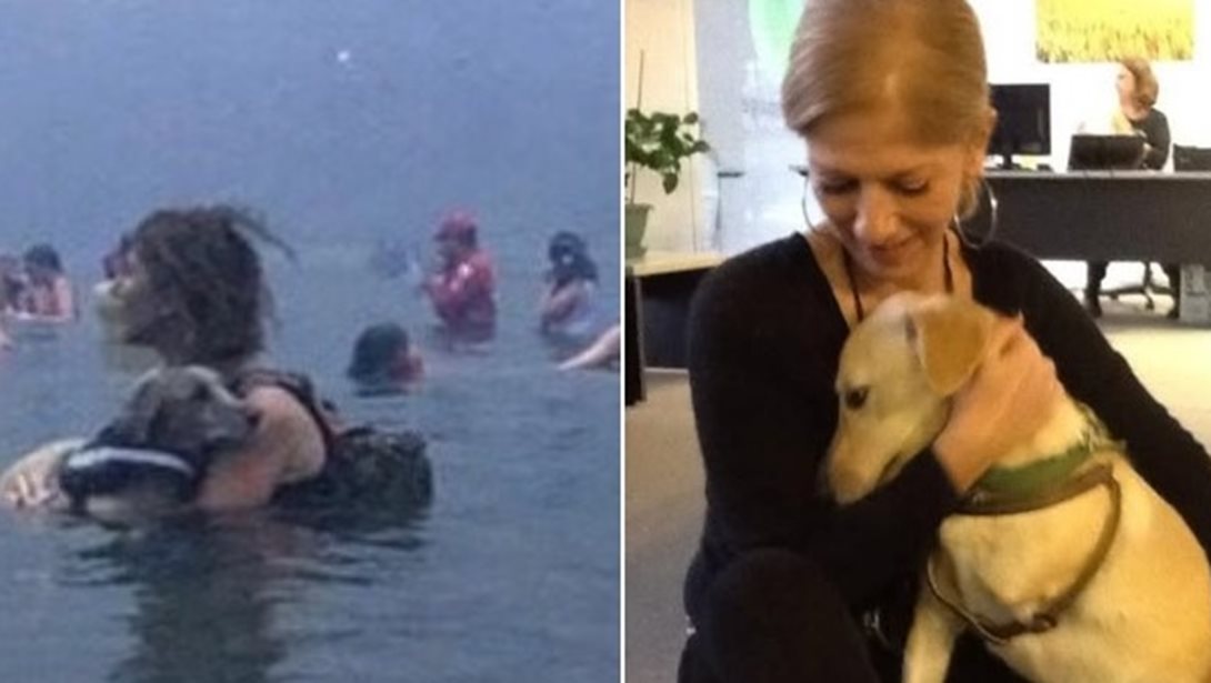 Αμόρ: Πέθανε το σκυλάκι που είχε σωθεί από τη φωτιά στο Μάτι