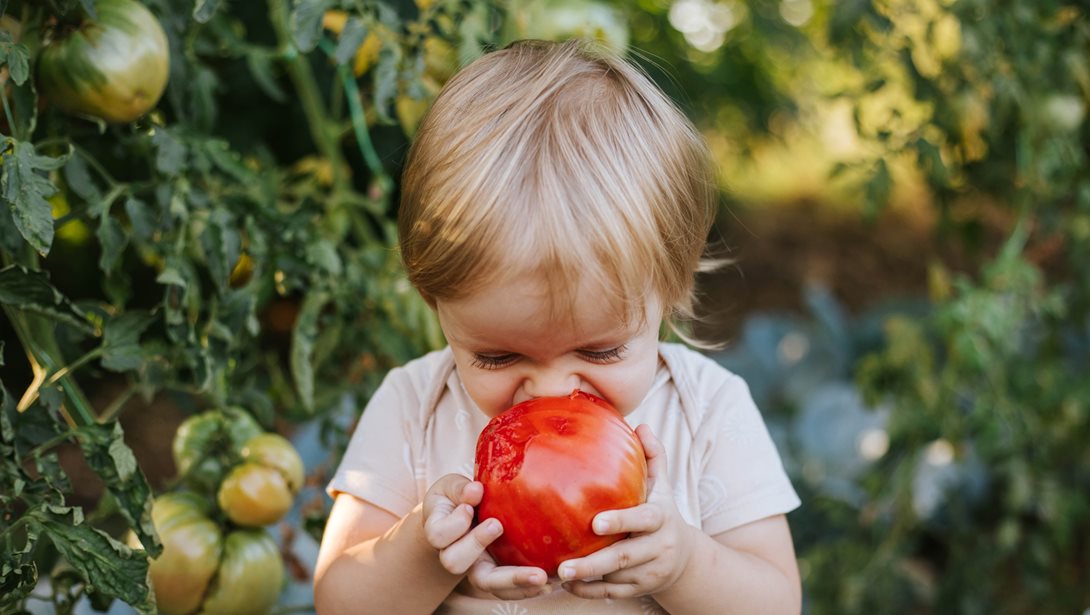 Ξεχνάει να πιει νερό; 8 τροφές που ενυδατώνουν τα παιδιά