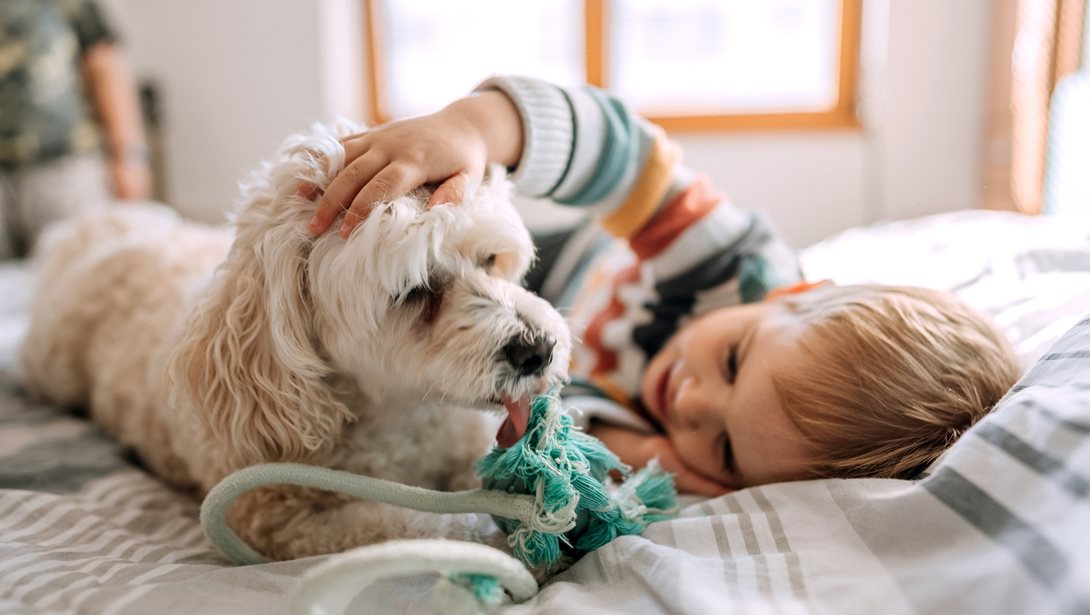 Έχεις σκυλί στο σπίτι; Νέες έρευνες αποκαλύπτουν την προστατευτική επίδραση στα μικρά παιδιά