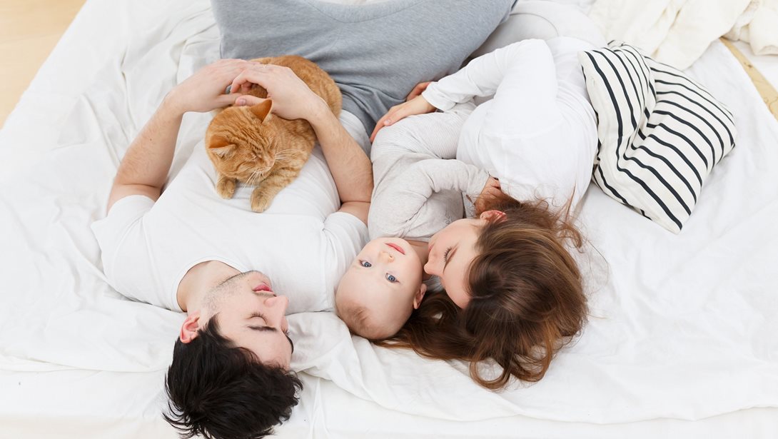 Βίντεο: Μια γάτα βοηθά τη νέα μαμά να αντλήσει γάλα με το θήλαστρο!